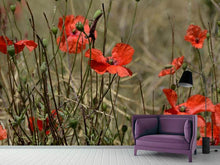 Load image into Gallery viewer, Photo Wallpaper The poppy in nature
