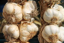 Load image into Gallery viewer, Photo Wallpaper The garlic XL
