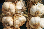 Photo Wallpaper The garlic XL