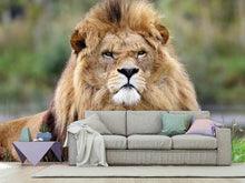 Load image into Gallery viewer, Photo Wallpaper The king of animals
