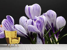 Load image into Gallery viewer, Photo Wallpaper The crocus
