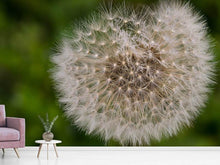 Load image into Gallery viewer, Photo Wallpaper The dandelion in nature
