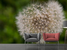 Load image into Gallery viewer, Photo Wallpaper The dandelion in nature
