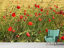 Load image into Gallery viewer, Photo Wallpaper The poppy in the wind
