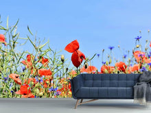 Load image into Gallery viewer, Photo Wallpaper The poppy in the flower meadow
