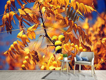 Load image into Gallery viewer, Photo Wallpaper The walnut XL
