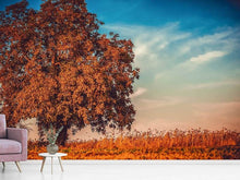 Load image into Gallery viewer, Photo Wallpaper The nut Tree
