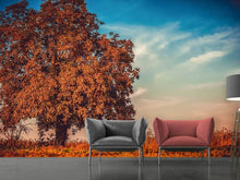 Load image into Gallery viewer, Photo Wallpaper The nut Tree
