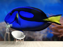 Load image into Gallery viewer, Photo Wallpaper The pallet doctorfish
