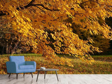 Load image into Gallery viewer, Photo Wallpaper The magnificent autumn tree
