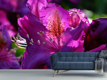 Load image into Gallery viewer, Photo Wallpaper The rhododendron
