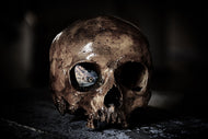 Photo Wallpaper The skull