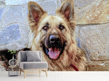 Load image into Gallery viewer, Photo Wallpaper The german shepherd
