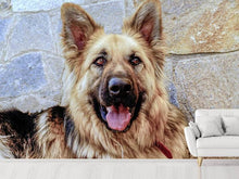 Load image into Gallery viewer, Photo Wallpaper The german shepherd
