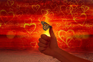 Photo Wallpaper The butterfly and the love
