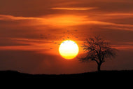 Photo Wallpaper The sunset on the horizon