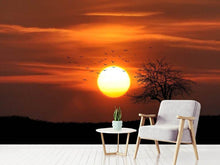 Load image into Gallery viewer, Photo Wallpaper The sunset on the horizon
