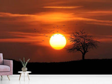 Load image into Gallery viewer, Photo Wallpaper The sunset on the horizon
