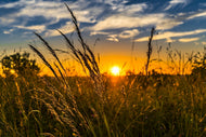 Photo Wallpaper The sunset on the field