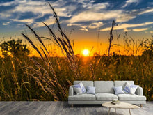 Load image into Gallery viewer, Photo Wallpaper The sunset on the field
