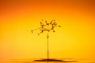 Photo Wallpaper The jumping drop