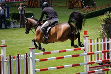 Load image into Gallery viewer, Photo Wallpaper The show jumper

