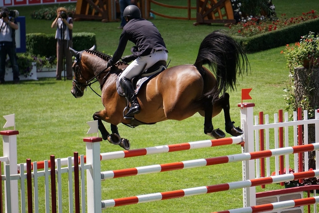 Photo Wallpaper The show jumper