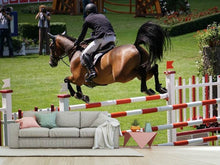 Load image into Gallery viewer, Photo Wallpaper The show jumper
