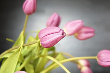 Load image into Gallery viewer, Photo Wallpaper The tulip bouquet in pink
