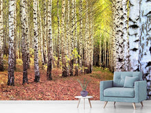 Load image into Gallery viewer, Photo Wallpaper the path between birches
