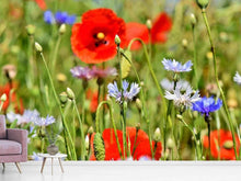 Load image into Gallery viewer, Photo Wallpaper The wild poppy XL
