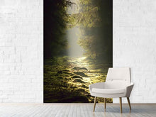 Load image into Gallery viewer, Photo Wallpaper The wild way
