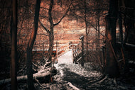 Photo Wallpaper Winter is coming