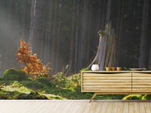 Load image into Gallery viewer, Photo Wallpaper The magic in the forest
