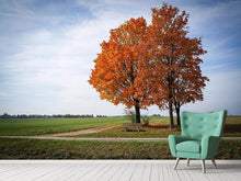 Load image into Gallery viewer, Photo Wallpaper The 3 trees
