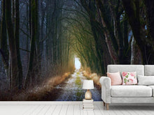 Load image into Gallery viewer, Photo Wallpaper The tree avenue
