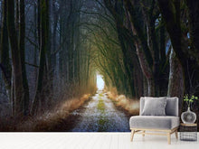 Load image into Gallery viewer, Photo Wallpaper The tree avenue
