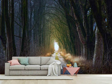 Load image into Gallery viewer, Photo Wallpaper The tree avenue
