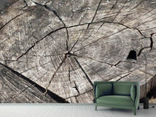 Load image into Gallery viewer, Photo Wallpaper The tree rings
