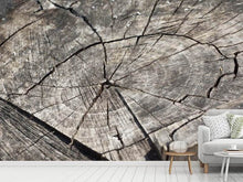 Load image into Gallery viewer, Photo Wallpaper The tree rings
