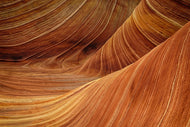 Photo Wallpaper The movement