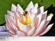Load image into Gallery viewer, Photo Wallpaper The bee on the water lily
