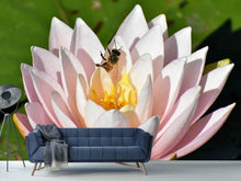 Load image into Gallery viewer, Photo Wallpaper The bee on the water lily

