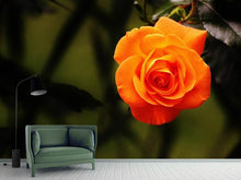 Load image into Gallery viewer, Photo Wallpaper The blossom of the rose
