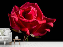 Load image into Gallery viewer, Photo Wallpaper The flower of love

