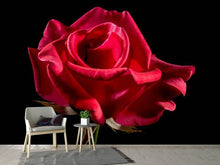 Load image into Gallery viewer, Photo Wallpaper The flower of love
