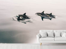 Load image into Gallery viewer, Photo Wallpaper The dolphins
