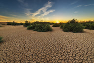 Photo Wallpaper The drought