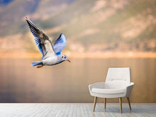 Load image into Gallery viewer, Photo Wallpaper The flying seagull

