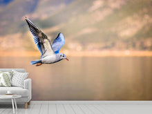 Load image into Gallery viewer, Photo Wallpaper The flying seagull
